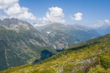 Bereketli yeşil dağ vadisi üzerinde geniş bir manzara dramatik kayalık yamaçlar, dağınık çam ormanları ve engebeli dağların arasında uzanan engebeli bir baraj kabarık mavi bulutlu bir gökyüzü altında..