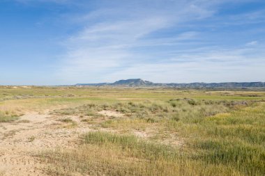 Geniş yeşil çimenler ve kuru toprak uzanır. İspanya 'nın Bardenas Reales kentindeki yumuşak mavi gökyüzünün altındaki engebeli tepelere doğru uzanır. Manzara geniş, güneşli, doğal dokuları ve ince renk zıtlıkları ile huzurlu..