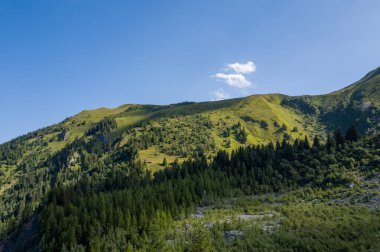 Güneşli çimen dağları, Fransız Alpleri 'ndeki bulutsuz bir yaz gökyüzünün altında, canlı yeşil yamaçlar ve dağınık ağaçlarla, sık ve yeşil ormanların üzerinde yükselir..