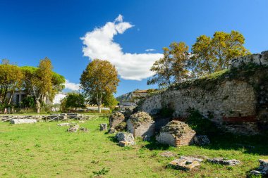 Yıpranmış taş duvarlar ve dağınık taş bloklar İtalya 'nın Paestum kentindeki arkeolojik bölgede uzun yapraklı ağaçların altında duruyor. Sahne, canlı mavi bir Akdeniz gökyüzünün altında sürüklenen bulutlarla kıtır kıtır güneş ışığıyla aydınlanıyor..