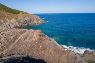 İki keçi, Arjantin yakınlarındaki derin mavi Akdeniz 'in üzerinde, güneşte kavrulmuş kaya oluşumlarını takip eder. Vahşi kıyı şeridi dramatik jeoloji, seyrek bitki örtüsü ve parlak bir gökyüzünün altında kristal berrak su barındırır..
