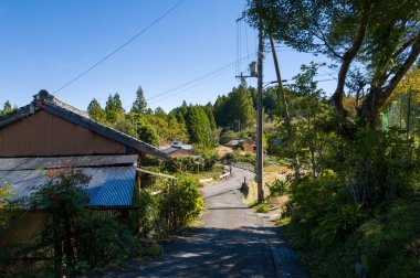 Japonya 'da Kumano Kodo patikası boyunca uzanan huzurlu bir köyde geleneksel ahşap evlerin ve yemyeşil gökyüzünün altında sakin bir asfalt yol kıvrımlı..