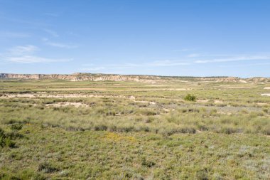 Geniş yeşil çayırlar, İspanya 'nın Bardenas Reales kentindeki açık mavi gökyüzünün altında güneşli bej kayalıklara uzanan alçak çalılarla birlikte yarı kurak bir düzlük boyunca uzanır. Manzara açık, huzurlu ve doğal dokulu..