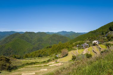 Japonya 'nın Wakayama kentindeki Kumano Kodo nehri boyunca canlı mavi bir gökyüzü altında ormanlı dağlarla çevrili yeşil bir yamaçtaki teraslı pirinç tarlalarının ve kırsal evlerin geniş manzarası. Parlak güneş ışığı manzaranın doğal dokularını ön plana çıkarır.