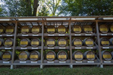 Tokyo, Japonya - 21 Ekim 2024: Arka planda ağaçlar ve yeşillikler bulunan Meiji Jingu 'daki ahşap bir rafta sarı plakalı birçok Bourgogne şarap fıçısı düzenlenmiştir..