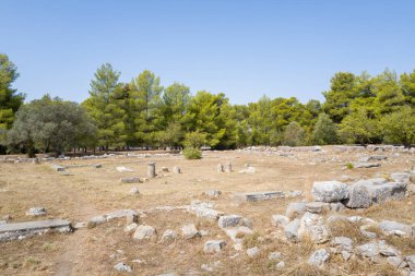 Epidaurus, Yunanistan - 2 Eylül 2024: Antik taş vakıflarının genel görünümü, dağınık sütun parçaları, ve Asclepius Sığınağı 'ndaki kalıntılar, temiz bir gökyüzünün altında kuru çimenler ve ağaçlar.