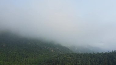 Yoğun beyaz sis, soluk mavi gökyüzünün altındaki araziyi sarar ve Pireneler dağlarında sakin ve gizemli bir atmosfer yaratır..