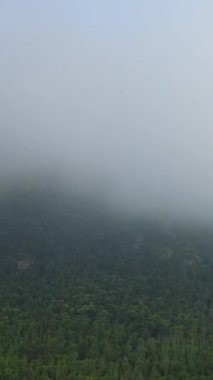 Yoğun sis araziyi kaplayarak Pireneler 'de yumuşak ve gizemli bir atmosfer yaratır. Sahne çok az ve sakin, sadece sisli ve mavi gökyüzü görünüyor..