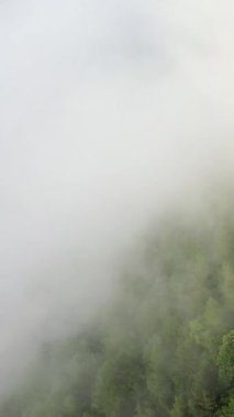 Pireneler 'deki yemyeşil arazi üzerinde yoğun sis sürükleniyor. Gizemli ve sakin doğal manzara. Görüş mesafesi sınırlı..