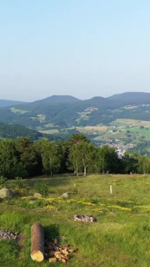 Alsace kırsalındaki kayan tepelerin, yemyeşil tarlaların ve ormanın temiz mavi gökyüzünün altında manzarası. Yaban çiçekleri ve uzak dağlarla huzurlu kırsal alan.
