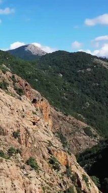 Korsika, Vallee de Porto 'da mavi gökyüzünün altında engebeli kayalık uçurumların ve yoğun yeşil ormanın manzarası. Görkemli doğal manzara seyahat ve doğa kavramları için ideal..