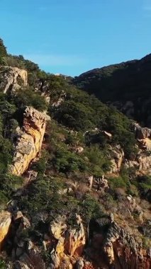 Korsika 'daki Calanques de Piana' da açık mavi gökyüzünün altında yeşil bitki örtüsüyle kaplı engebeli kayalık manzarası..