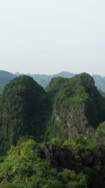 Hang Mua 'nın Vietnam, Ninh Binh' deki yemyeşil kireçtaşı dağlarının manzarası. Manzara, berrak bir gökyüzünün altında yoğun bitki örtüsüyle kaplı dramatik uçurumları barındırıyor..