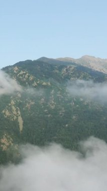 Ağaçlarla kaplı yemyeşil dağlar alçak bulutlar ve Pireneler boyunca sürüklenen sis. Berrak gökyüzünün altındaki sakin doğal manzara.