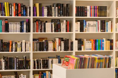 Bilinmeyen konum - 12 Mayıs 2021: Birden fazla kitap, kapalı bir ortamda ön planda renkli kitapların yer aldığı beyaz bir ekran kutusu ile büyük beyaz kitaplıklar üzerinde dik ve yatay olarak düzenlenmiştir..