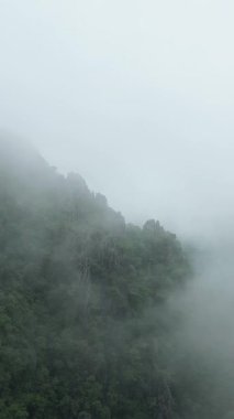 Vang Vieng, Laos yakınlarında kalın sisli, yemyeşil kireçtaşı dağları gizemli ve sakin bir manzara yaratıyor..