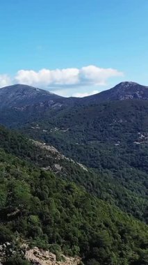 Fransa 'nın Korsika kentinin kırsal kesiminde açık mavi gökyüzünün altındaki yemyeşil dağların manzarası. Yoğun orman dalgalı tepeleri kaplayarak, huzurlu bir doğal manzara yaratıyor..