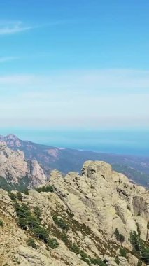 Fransa 'nın Korsika şehrindeki Col de Bavella' da engebeli kayalık dağlar ve açık mavi gökyüzünün altındaki çam ormanlarının manzarası..