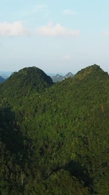 Vietnam 'da, Cao Bang yakınlarında açık mavi gökyüzünün altındaki yoğun ormanlık dağların hava manzarası. Canlı yeşil yapraklar yuvarlanan tepeleri kaplayarak doğal bir manzara yaratıyor..