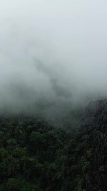 Yoğun yeşil orman ve Vang Vieng, Laos yakınlarında gizlenmiş dramatik uçurumlar gizemli ve atmosferik bir manzara yaratıyor..