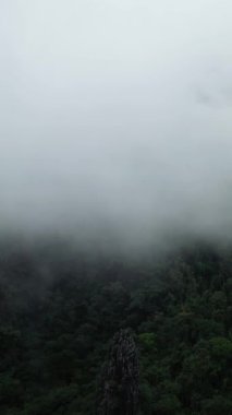 Yoğun yeşil orman yoğun bir sis örtüsüyle kaplanmış dramatik kaya oluşumlarıyla, Vang Vieng, Laos 'un kırsalında ele geçirildi..