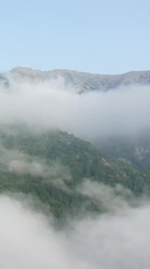 Yoğun ormanlarla kaplı yemyeşil dağlar ve Pireneler 'de yakalanan sürüklenen sis. Sakin doğal manzara, alçak bulutlar ve yumuşak sabah ışığı..