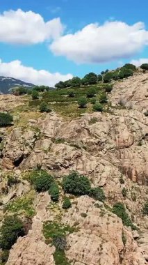 Korsika 'nın Vallee de Porto şehrinde yeşil ağaçlarla kaplı engebeli kayalık tepelerin manzarası. Seyahat ve açık hava kavramları için ideal doğa manzarası.