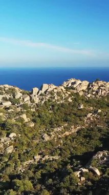 Portekiz, Albufeira 'da berrak bir gökyüzünün altında açık mavi denize bakan yeşil bitkilerle kayalık bir sahil manzarası..