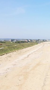 Utah Beach, Normandiya, Fransa 'da açık mavi gökyüzü altında uzak evleri olan geniş kumlu bir sahil. Huzurlu kıyı manzarası seyahat ve doğa kavramları için ideal..