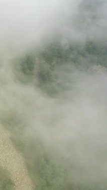 Pireneler 'in dağlarındaki yemyeşil bir orman ve kayalık arazide yoğun sisin drone görüntüsü. Gizemli ve atmosferik doğal manzara.