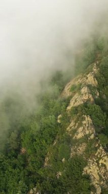Pireneler 'in dağlarındaki yoğun yeşil ormanın havadan görünüşü kısmen sabah sisi ile kaplıdır. Yeşillik ve sis, sakin ve doğal bir atmosfer yaratır..