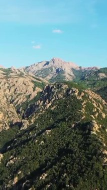 Fransa 'nın Korsika kentindeki yemyeşil ormanlarla kaplı engebeli dağların açık mavi gökyüzünün altında manzarası. Doğa, seyahat ve macera kavramları için mükemmel..