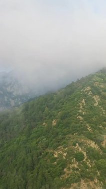 Pire ve alçak bulutlarla kaplı yemyeşil dağ eteklerinde kaya çıkıntıları ve sık orman bitkileri bulunur..