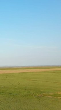 Fransa 'nın Le Mont-Saint-Michel yakınlarındaki tipik manzara, berrak mavi bir gökyüzü altında uzanan çimenli kıyı sahalarının geniş manzarası.