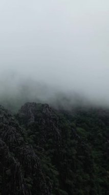 Vang Vieng, Laos 'un kırsal kesimlerinde yakalanan sis ve yemyeşil ağaçlarla kaplı dramatik kireçtaşı zirveleri. Sis engebeli arazide gizemli ve sakin bir atmosfer yaratır..