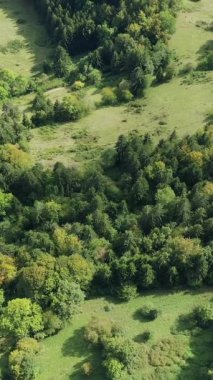 Fransa 'nın Massif de la Chartreuse şehrinde yemyeşil orman ve açık çayır güneşli bir günde yukarıdan görülüyor. Yoğun ormanlık bu doğal dağ ortamındaki açıklıklarla çelişiyor..
