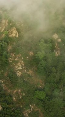 Engebeli, kayalık bir yamacın havadan görünüşü yemyeşil bitki örtüsüyle kaplıdır ve kısmen Pireneler dağlarında sisle kaplıdır..