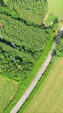 Fransa 'nın Morvan bölgesinde sık yeşil ağaçlar ve açık yeşil alanlarla çevrili dolambaçlı bir yolun insansız hava aracı çekimi. Parlak yaz güneşi bereketli manzarayı vurgular..