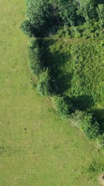 İnsansız hava aracı, Fransa 'nın Morvan kırsalındaki yemyeşil ormanı ve çimenli manzarayı yakalıyor. Yaz sahnesine yoğun yeşillik ve doğal dokular hakim..
