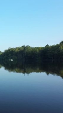 Sabit mavi gökyüzünün altındaki yemyeşil ormanı yansıtan durgun su ile Lac des Settons 'un sakin manzarası. Sahil kenarında yüzen küçük bir tekne huzurlu bir doğal manzara yaratıyor..