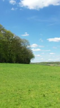 Kırsal Nivernais bölgesinde dağınık bulutları olan mavi gökyüzünün altındaki yemyeşil tarlalar ve ağaçlar. İlkbaharda huzurlu tarım manzarası.