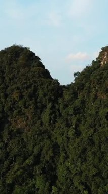 Vietnam 'daki Cao Bang yakınlarında mavi bir gökyüzünün altında yuvarlanan dağları kaplayan yoğun yeşil ormanın havadan görünüşü. Seyahat ve doğa kavramları için ideal huzurlu doğal manzara..