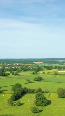 Cuncy les Varzy, Fransa 'da açık mavi bir gökyüzünün altındaki kırsal bir köyü çevreleyen canlı yeşil tarlalar ve dağınık ağaçlar..