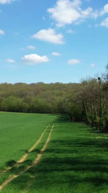 Fransa 'nın kırsal Nievre bölgesinde, dağılmış bulutlarla dolu, açık mavi gökyüzünün altında, ormanla çevrili yemyeşil bir alan..
