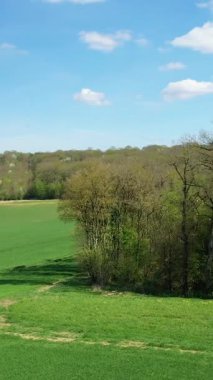 Fransa 'nın Nivernais kırsalında mavi gökyüzü altında yemyeşil tarlalar ve ağaçlar. İlkbaharda huzurlu kırsal manzara.