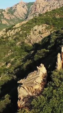 Fransa 'nın Korsika kentindeki Calanques de Piana kıyı şeridi boyunca uzanan engebeli uçurumların ve yemyeşil çimlerin manzarası..