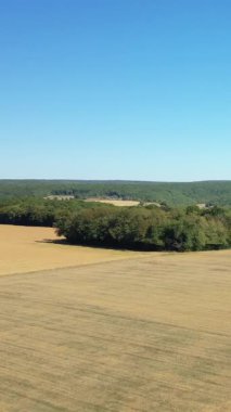 Fransa 'nın Varzy şehrinde açık mavi gökyüzünün altında altın tarlalar ve yeşil orman geniş bir manzara. Yuvarlanan tarım arazileri ve uzak ormanlık ile huzurlu bir kır manzarası.