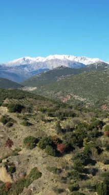 Dağılmış ağaçlarla ve açık mavi gökyüzünün altındaki uzak karlı dağlarla yeşil yuvarlanan tepelerin manzarası. Doğa ve seyahat temaları için ideal doğa manzarası.