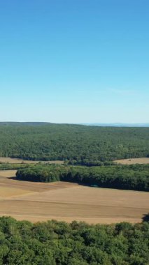 Cuncy les Varzy, Fransa 'da açık mavi gökyüzü altında tarım arazileri ve sık ormanlara geniş bir bakış açısı. Doğal yeşillik ve açık tarım arazisiyle sakin bir kırsal alan..
