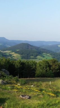 Alsace kırsalının manzarasında yuvarlanan yeşil tepeler, dağınık ağaçlar ve açık mavi gökyüzünün altındaki uzak dağlar görülüyor. Kesilmiş bir kütük ve kır çiçekleri kırsal alana kırsal cazibe katar..